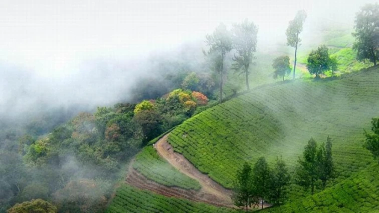 Darjeeling Tour Packages for 3 Days